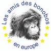 Logo of the association Les amis des bonobos en Europe
